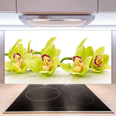 Spatscherm keuken glas Bloemen plant wildlife