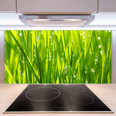 Spatscherm keuken glas Gras plantaard