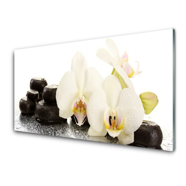 Spatscherm keuken glas Witte orchideebloem