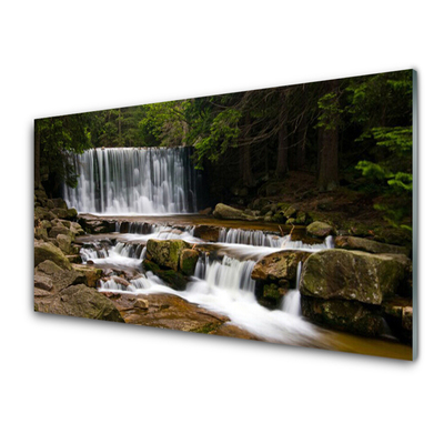 Spatscherm keuken glas Waterval bos natuur