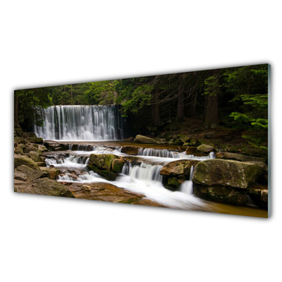 Spatscherm keuken glas Waterval bos natuur