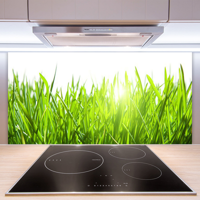 Spatscherm keuken glas Gras plantaard