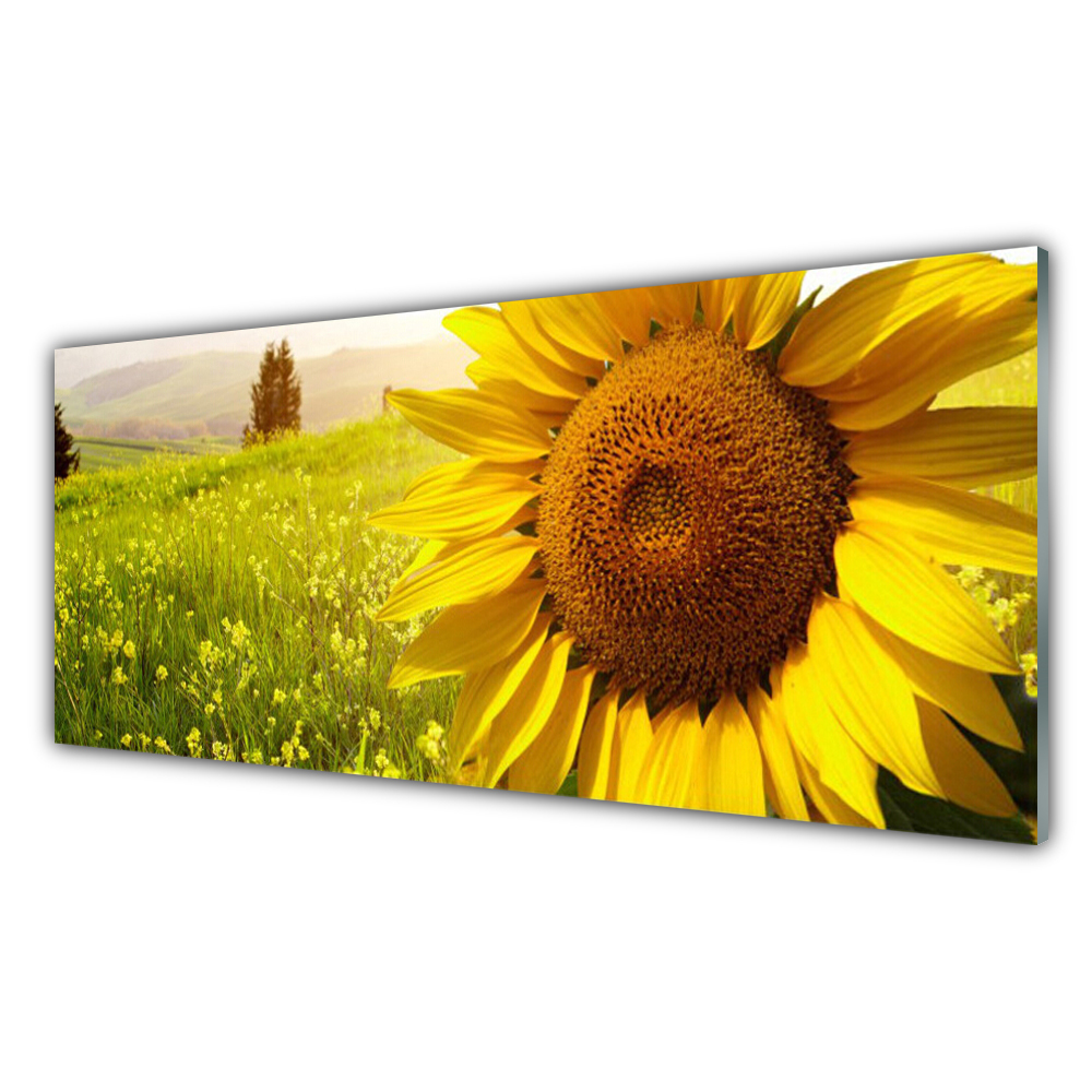Zonnebloem muurstickers - Bloemen stickers voor aan de muur - Woonkamer