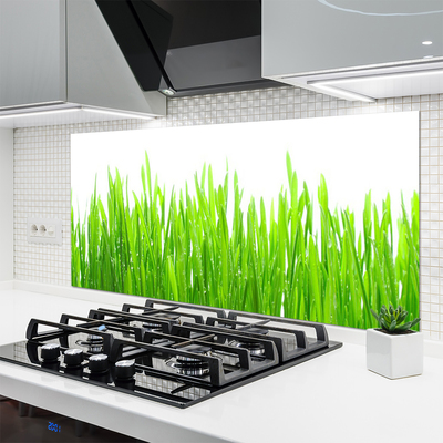 Spatscherm keuken glas Gras plantaard