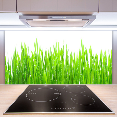 Spatscherm keuken glas Gras plantaard