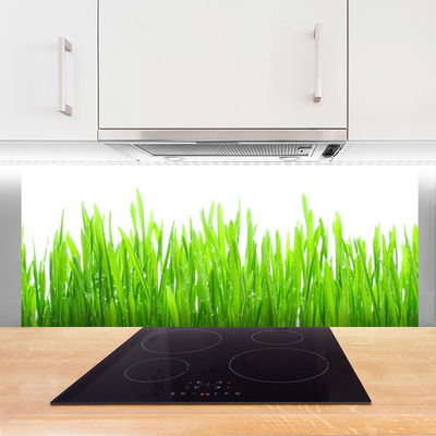 Spatscherm keuken glas Gras plantaard