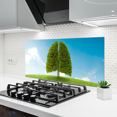 Spatscherm keuken glas Grasboom long wildlife