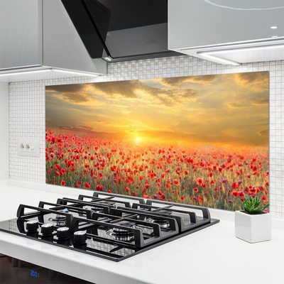 Spatscherm keuken glas Sun weide. Poppy bloemen