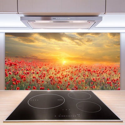 Spatscherm keuken glas Sun weide. Poppy bloemen