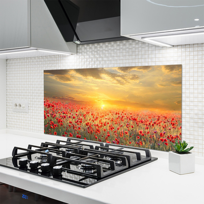 Spatscherm keuken glas Sun weide. Poppy bloemen