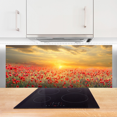 Spatscherm keuken glas Sun weide. Poppy bloemen