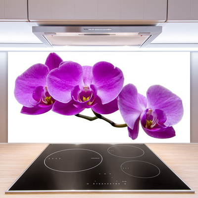 Spatscherm keuken glas Bloemen plantaardige aard