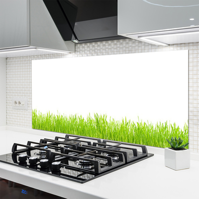 Spatscherm keuken glas Grasinstallatie wildlife