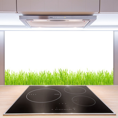 Spatscherm keuken glas Grasinstallatie wildlife