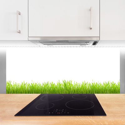 Spatscherm keuken glas Grasinstallatie wildlife