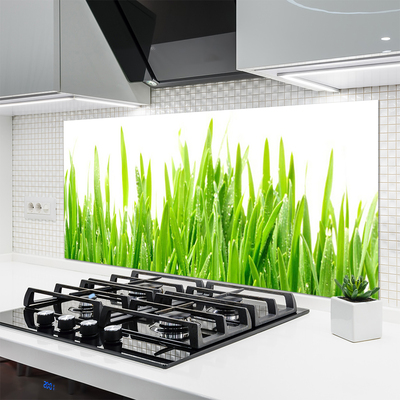 Spatscherm keuken glas Gras plantaard