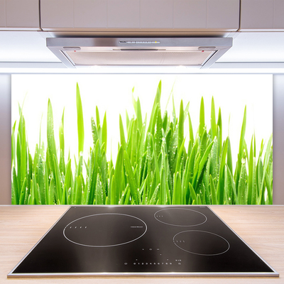 Spatscherm keuken glas Gras plantaard