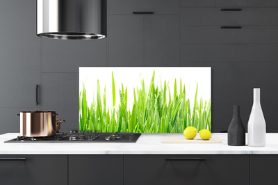 Spatscherm keuken glas Gras plantaard