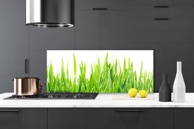 Spatscherm keuken glas Gras plantaard