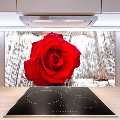 Spatscherm keuken glas Rose flower plant nature