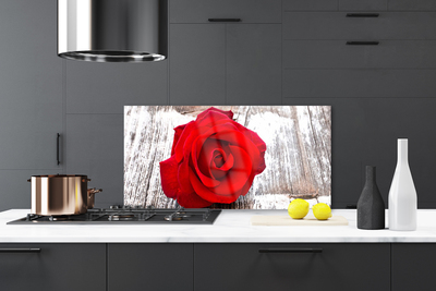 Spatscherm keuken glas Rose flower plant nature