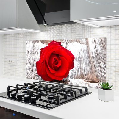 Spatscherm keuken glas Rose flower plant nature