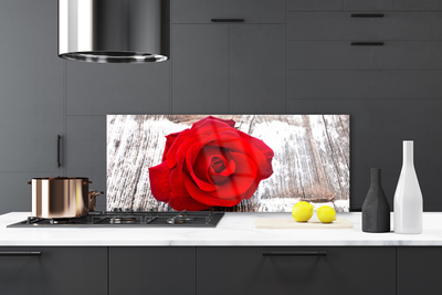 Spatscherm keuken glas Rose flower plant nature