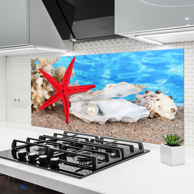 Spatscherm keuken glas Zeester shells wildlife