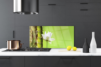 Spatscherm keuken glas Bamboe stam plantaardige aard