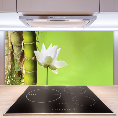 Spatscherm keuken glas Bamboe stam plantaardige aard