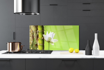 Spatscherm keuken glas Bamboe stam plantaardige aard