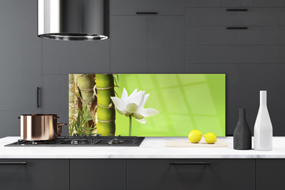 Spatscherm keuken glas Bamboe stam plantaardige aard