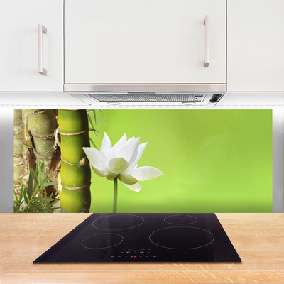 Spatscherm keuken glas Bamboe stam plantaardige aard
