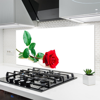 Spatscherm keuken glas Rose flower plant nature