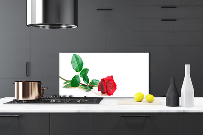 Spatscherm keuken glas Rose flower plant nature