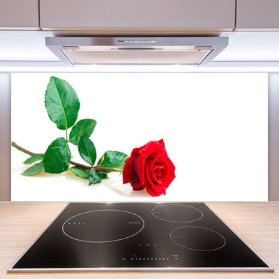 Spatscherm keuken glas Rose flower plant nature