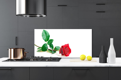 Spatscherm keuken glas Rose flower plant nature