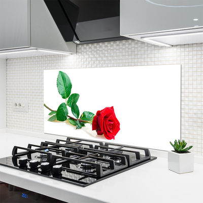 Spatscherm keuken glas Rose flower plant nature