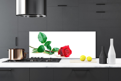 Spatscherm keuken glas Rose flower plant nature