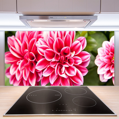 Spatscherm keuken glas Bloemen plantaardige aard