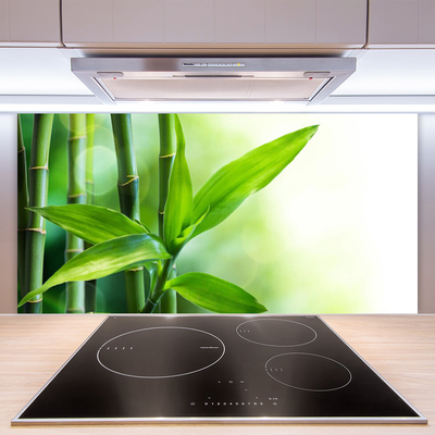 Spatscherm keuken glas Bamboe blad plant wildlife