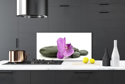 Spatscherm keuken glas Orchidee orchidee bloem