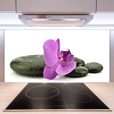 Spatscherm keuken glas Orchidee orchidee bloem