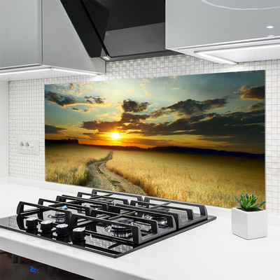 Spatscherm keuken glas Lady field landscape