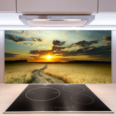 Spatscherm keuken glas Lady field landscape