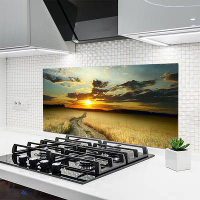 Spatscherm keuken glas Lady field landscape