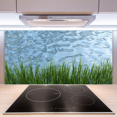 Spatscherm keuken glas Graswater natuur