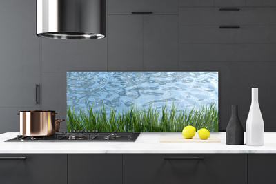 Spatscherm keuken glas Graswater natuur