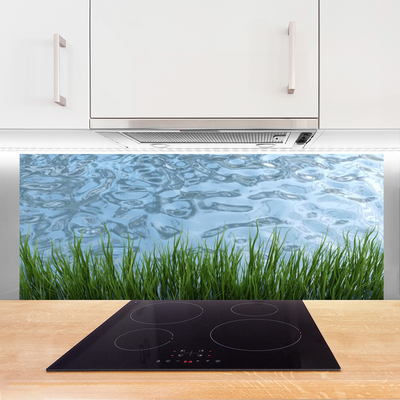 Spatscherm keuken glas Graswater natuur