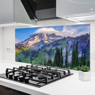 Spatscherm keuken glas Mountain forest landscape wildlife